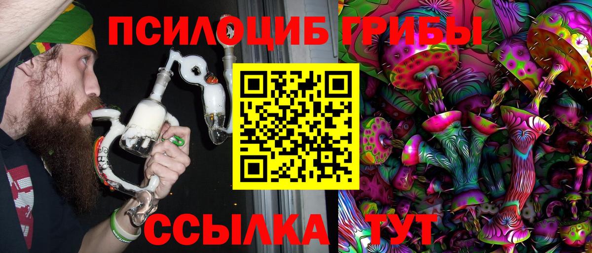 Камышин  Галлюциногенные грибы Psilocybine cubensis  Псилоцибиновые грибы мухоморы  Вход с VPN 